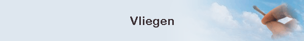 Vliegen